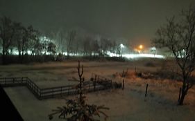Nea Iancu